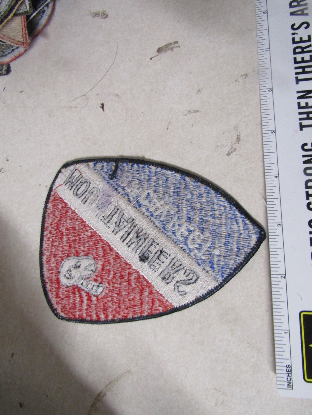MILITARY PATCH OLDER 8TH CAVALRY REGIMENT MOUNTAINEERS