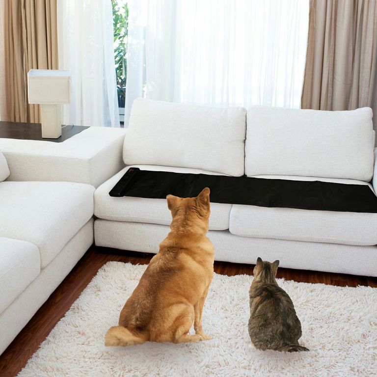Sofa Scram Sonic Scat Pad