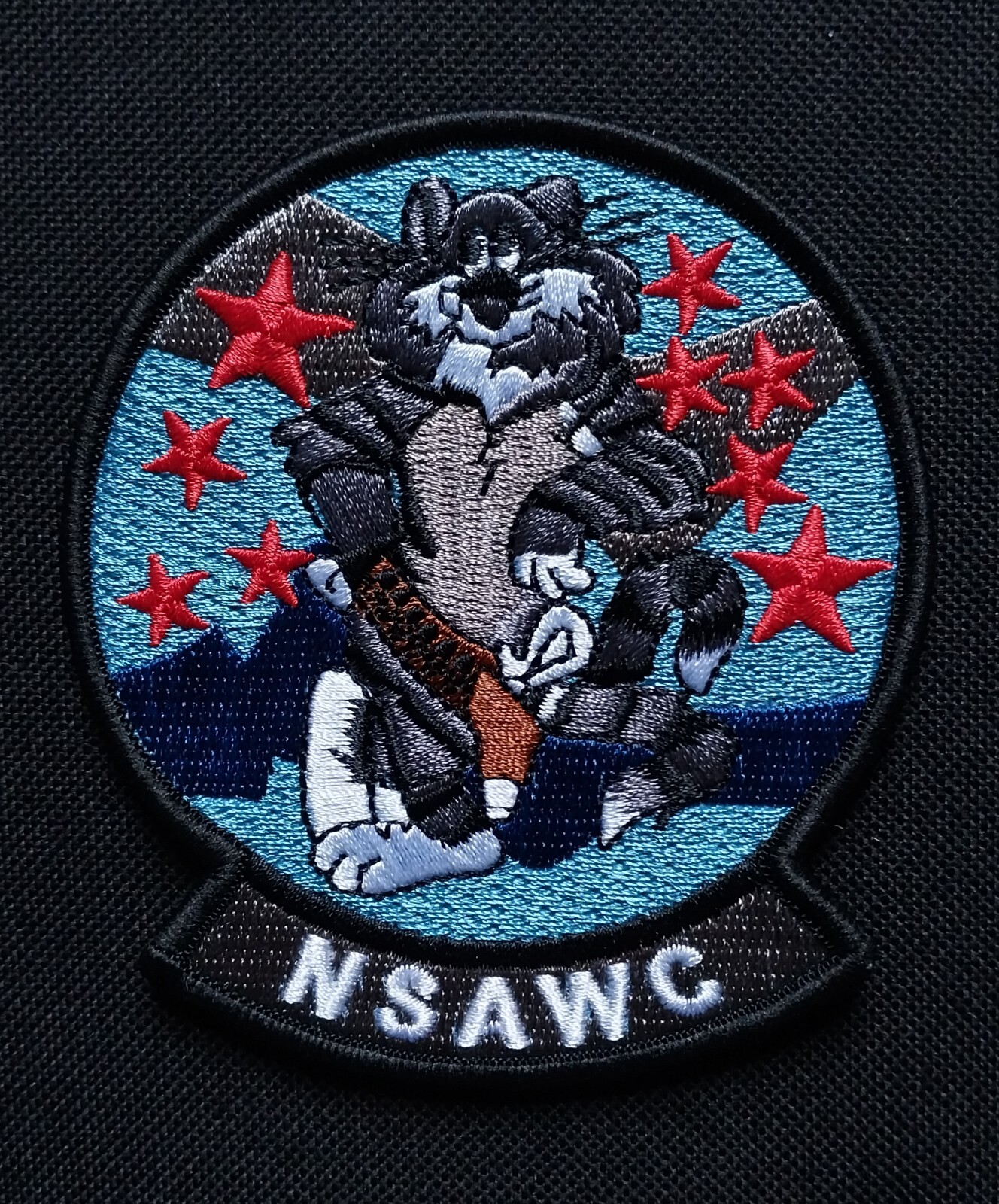 TOMCAT PATCH ~ NSAWC ~ Naval Strike and Warfare Center ~ US Military Navy Patch