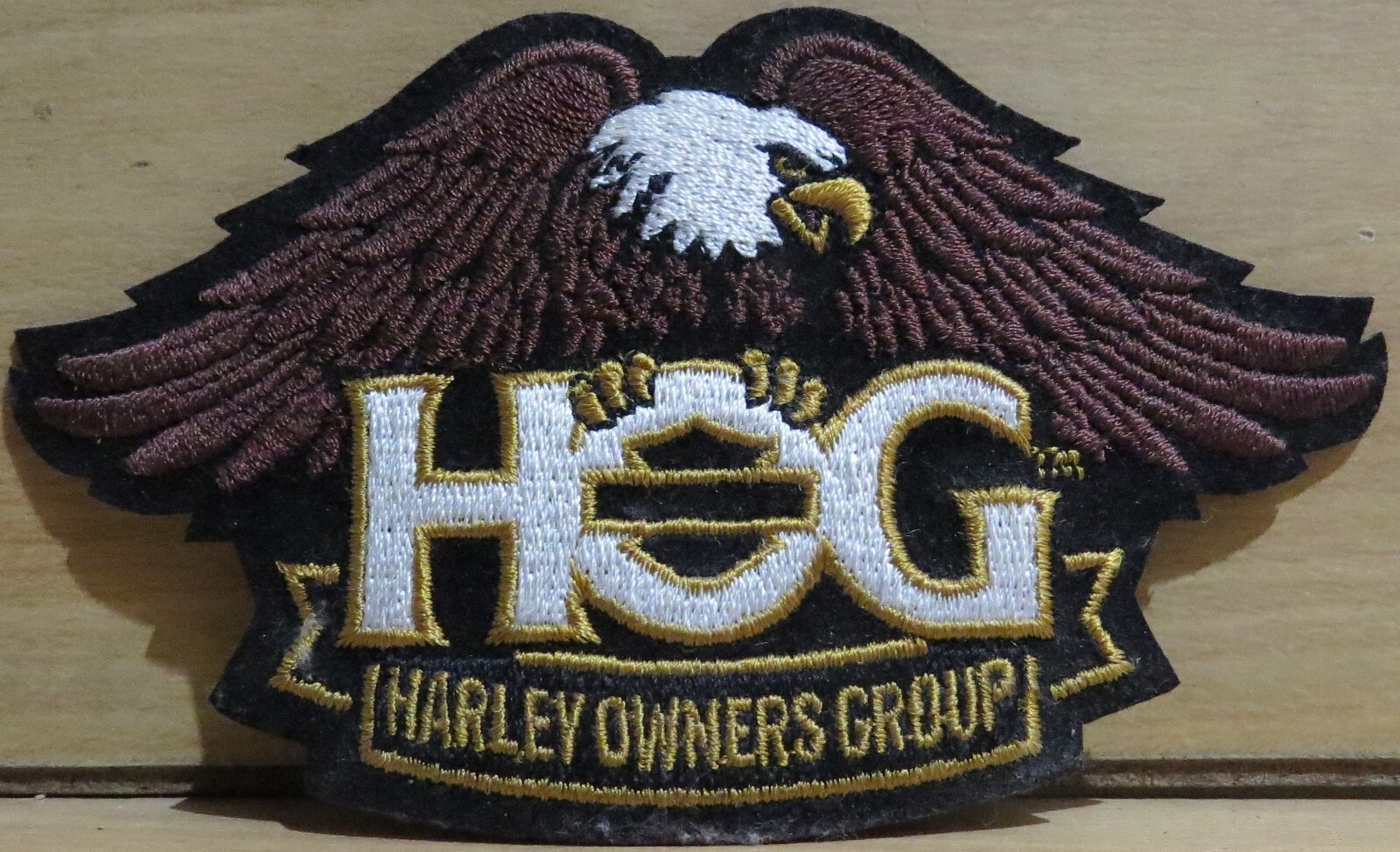 Harley Davidson HOG Harley Owners Group Patch and Pin 2013