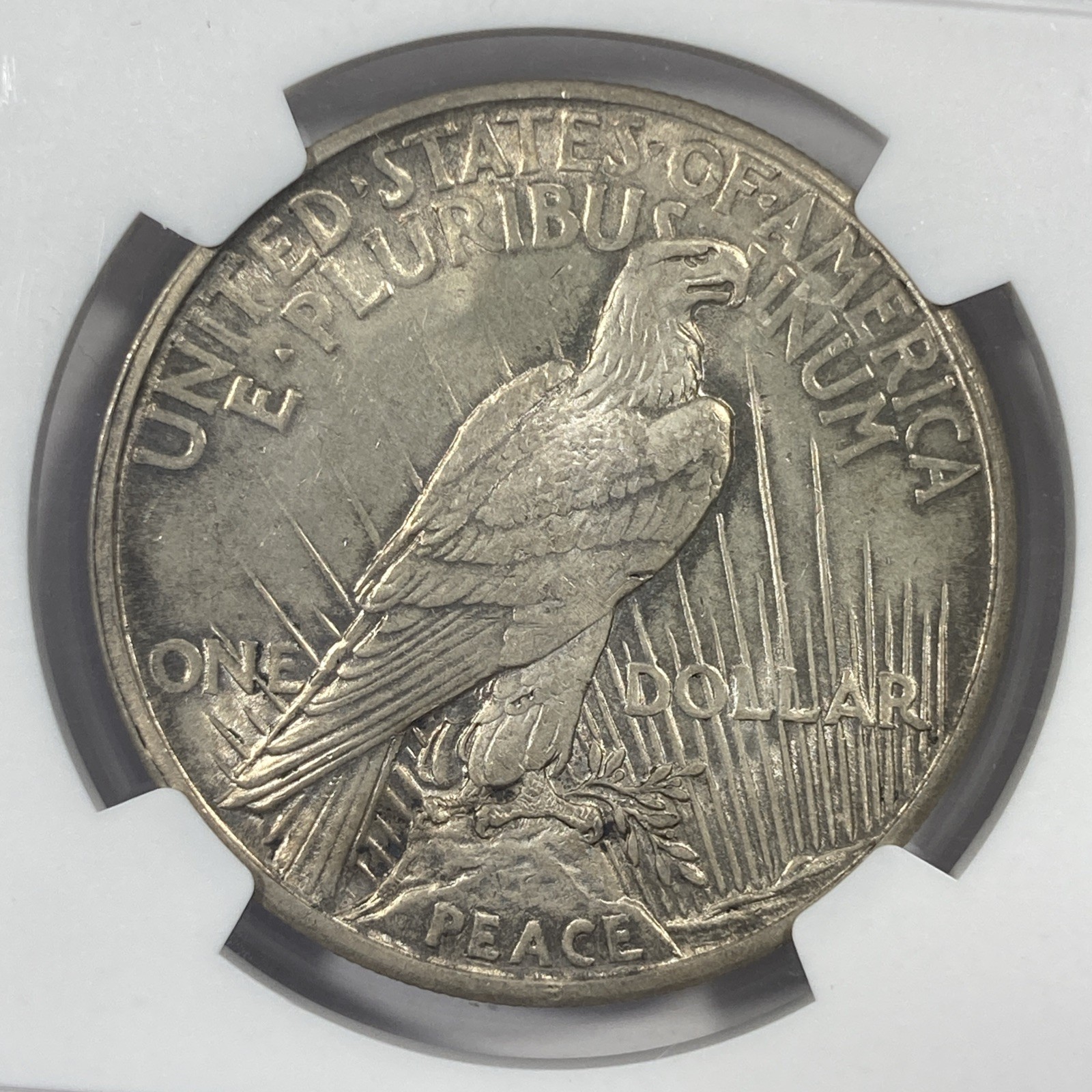 1921 Peace Silver Dollar 1.00. NGC MS62.