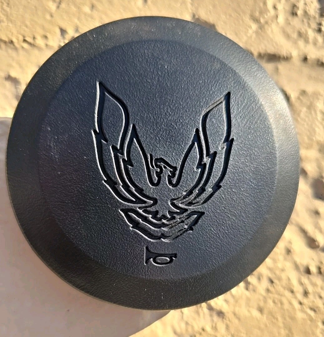 GM - 1982 1983 1984 1985 1986 1987 1988 1989 Firebird Trans Am Black Horn Button