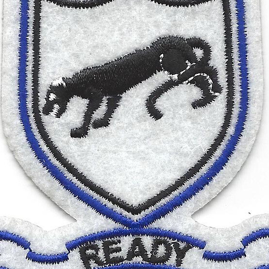 505th Airborne Infantry Regiment Patch Ready