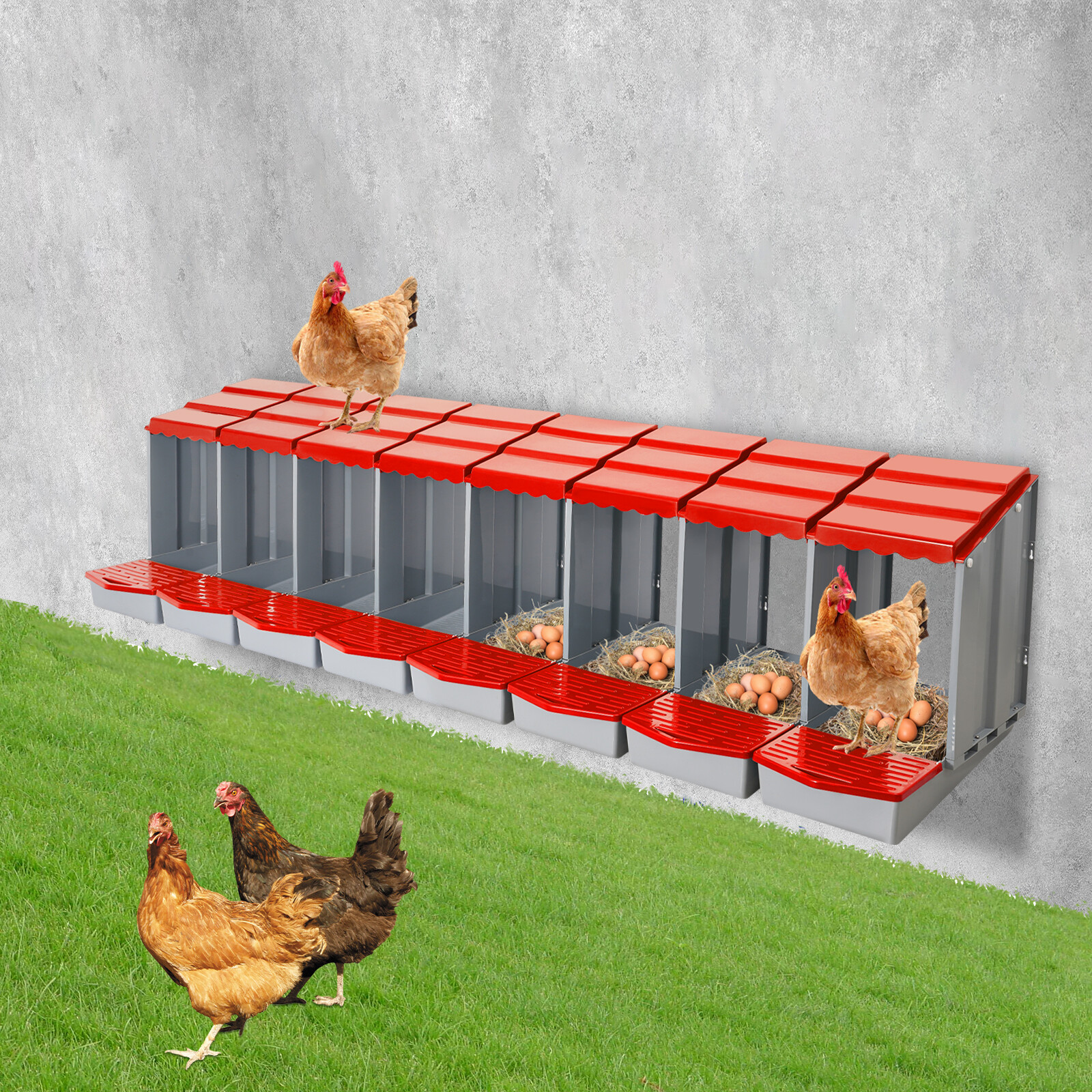 Modern Chicken Laying Boxes With Egg Collection Nesting Boxes 222.8*51.5*46.5cm