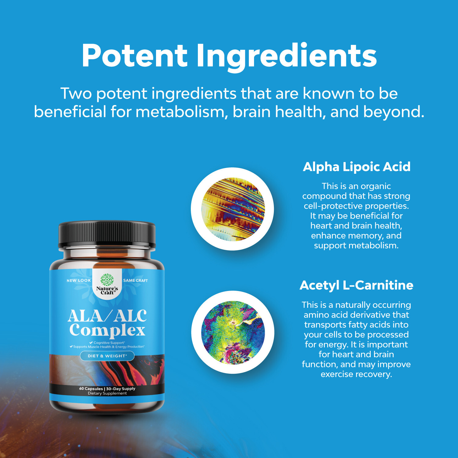 ALC and Alpha Lipoic Acid Supplements - Acetyl l-carnitine Alpha Lipoic Acid