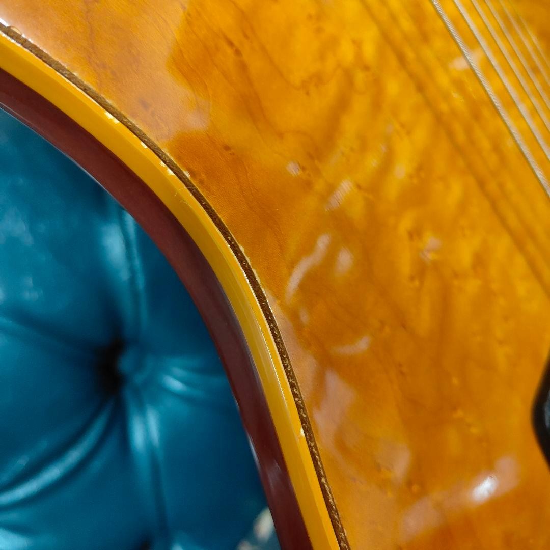 Groovin' By Morris Tg-60 Solid Elegat