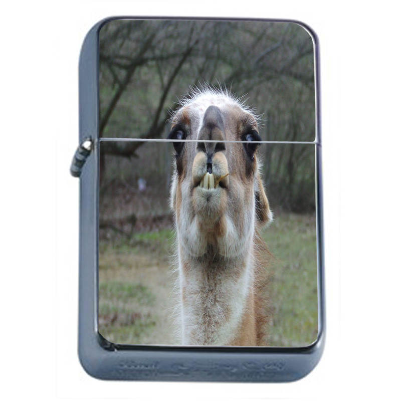 Llamas D11 Flip Top Oil Lighter Wind Resistant