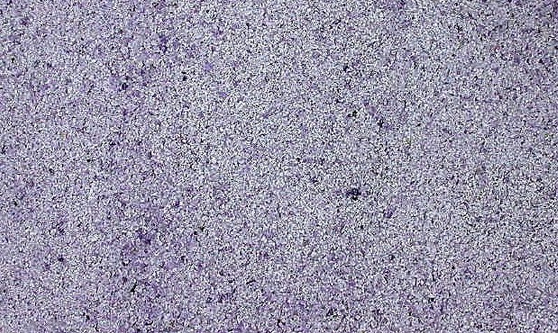 One Ounce Natural NO DYE Amethyst Inlay Craft Jewelry Woodworking Powder