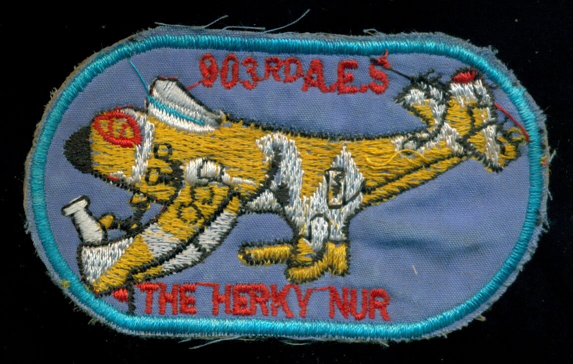 USAF 903rd AES Vietnam Patch VT-8