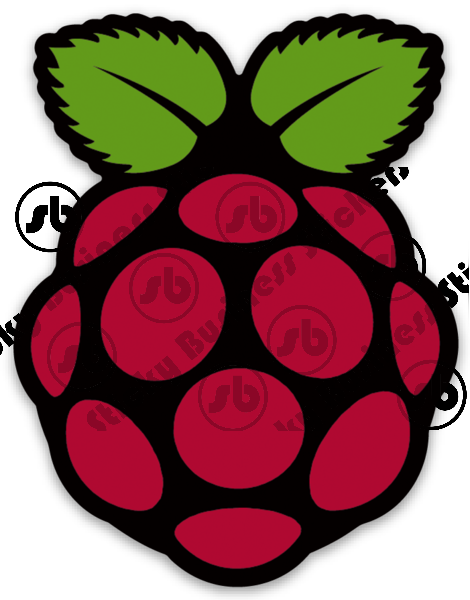 Raspberry Pi Logo 3 inch Vinyl Sticker Computer IOT Coding Python bottle laptop