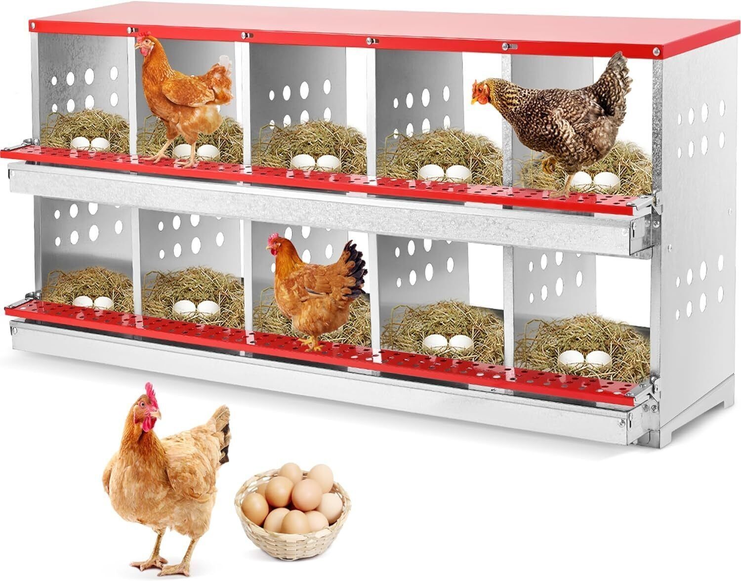 10 Hole Chicken Nesting Boxes Chicken Egg Laying Box with Rollout Egg Collection