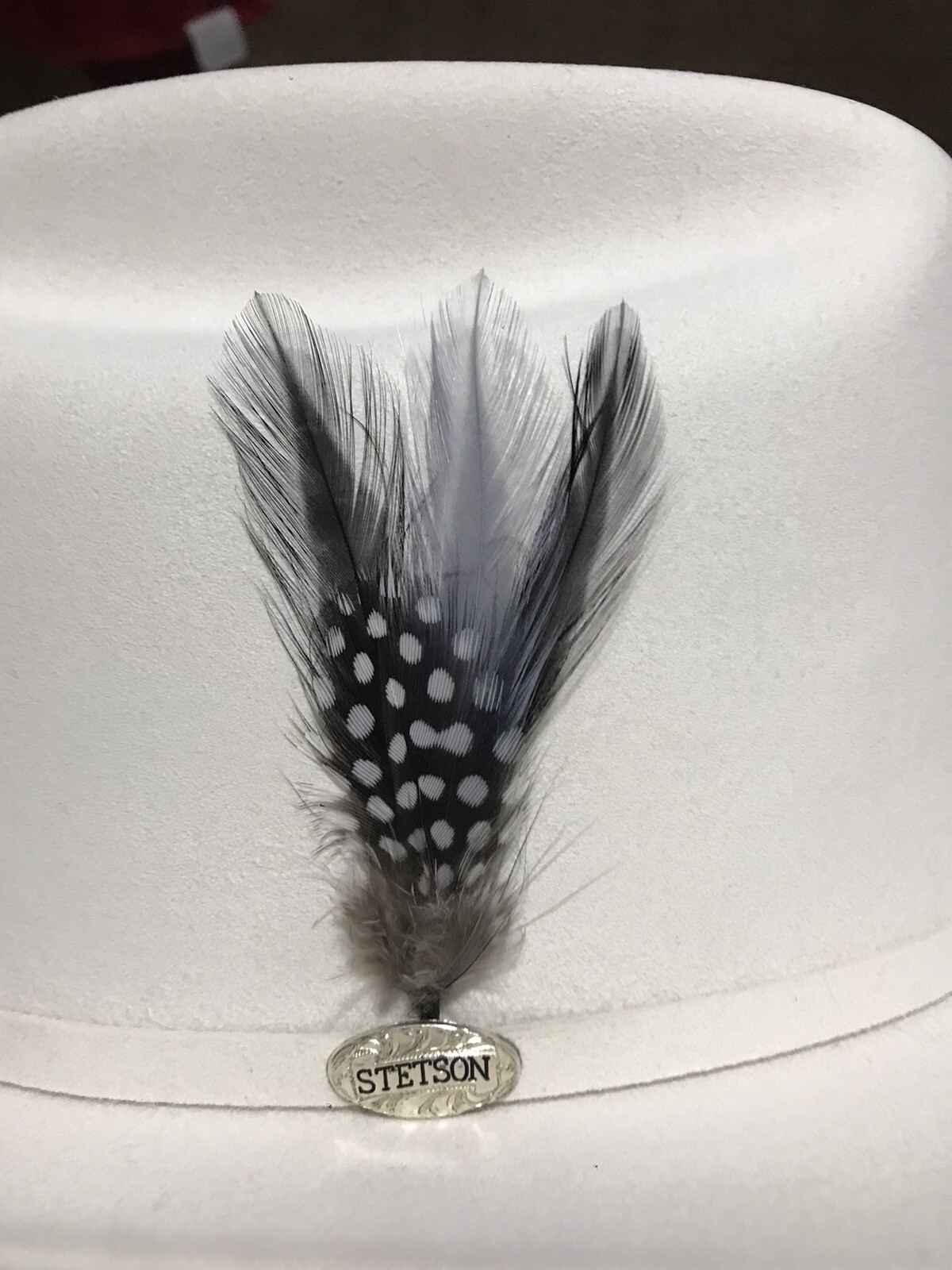 STETSON® “GENUINE” CLASSIC COWBOY HAT FEATHER