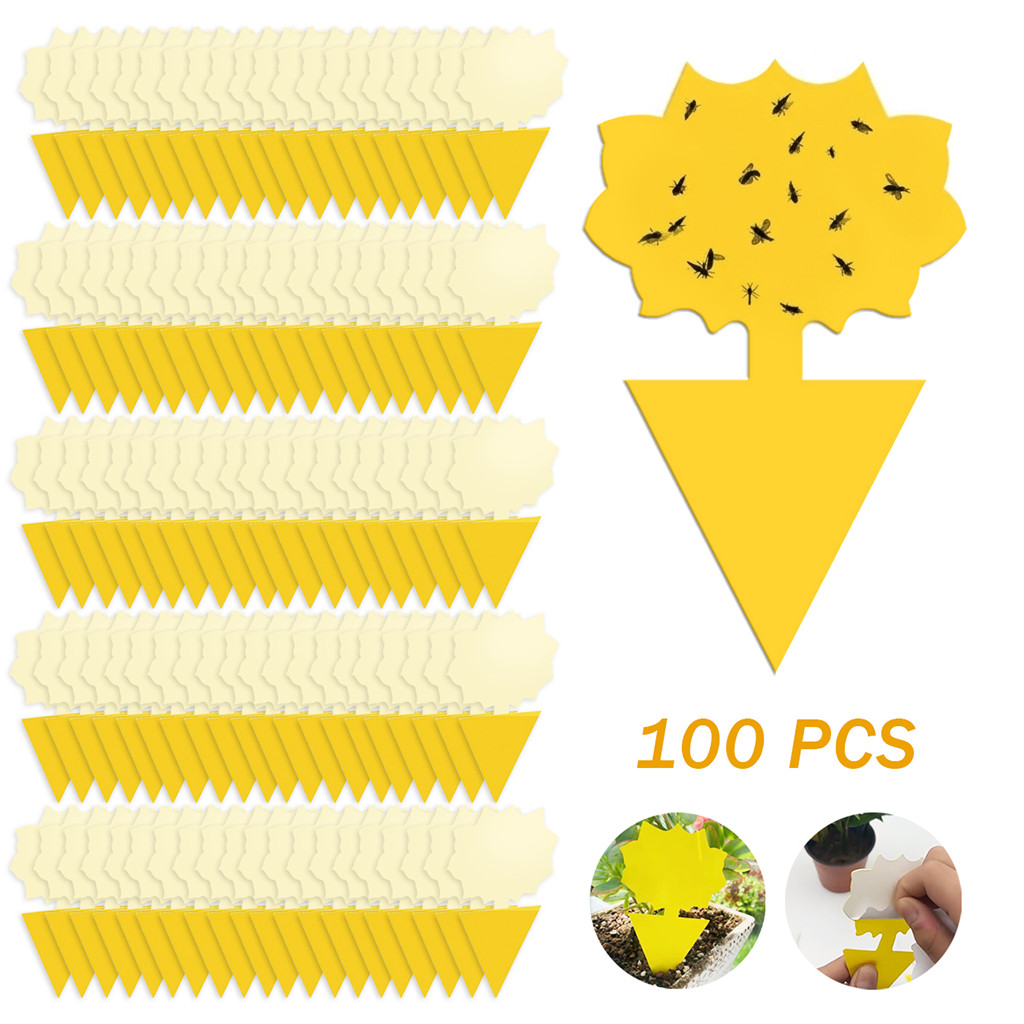 100PCS Sticky Fly Traps Fruit Gnat Killer Indoor Outdoor Plants Garden USA