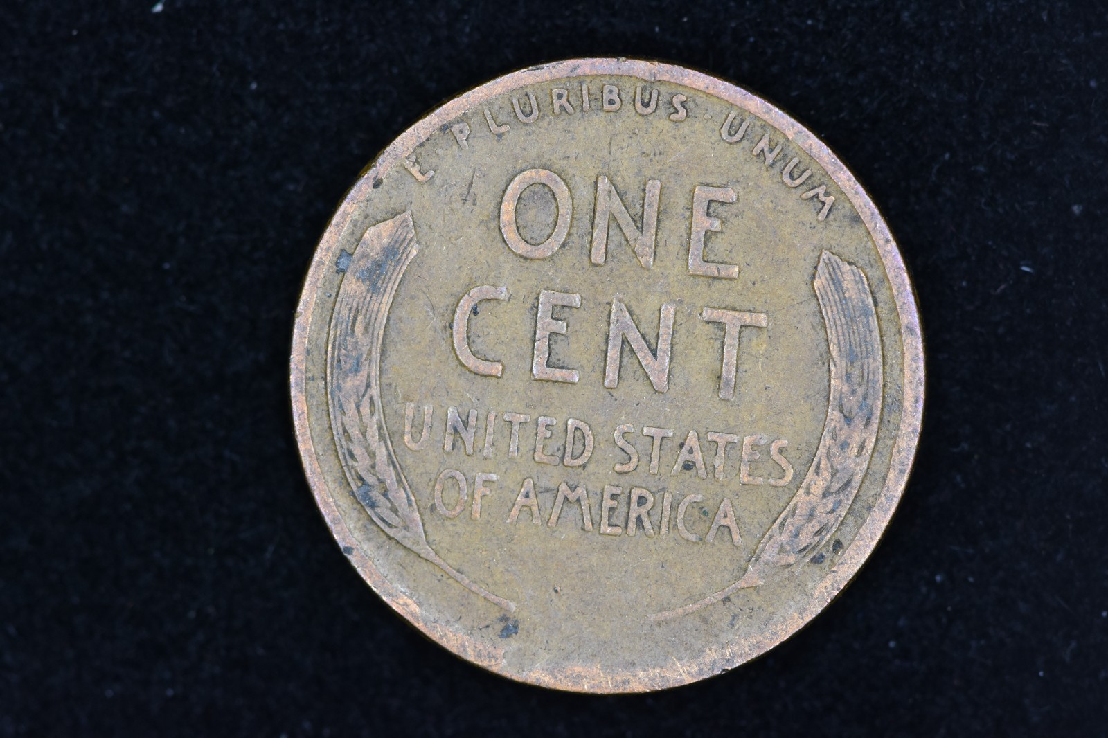 1919 Wheat Penny