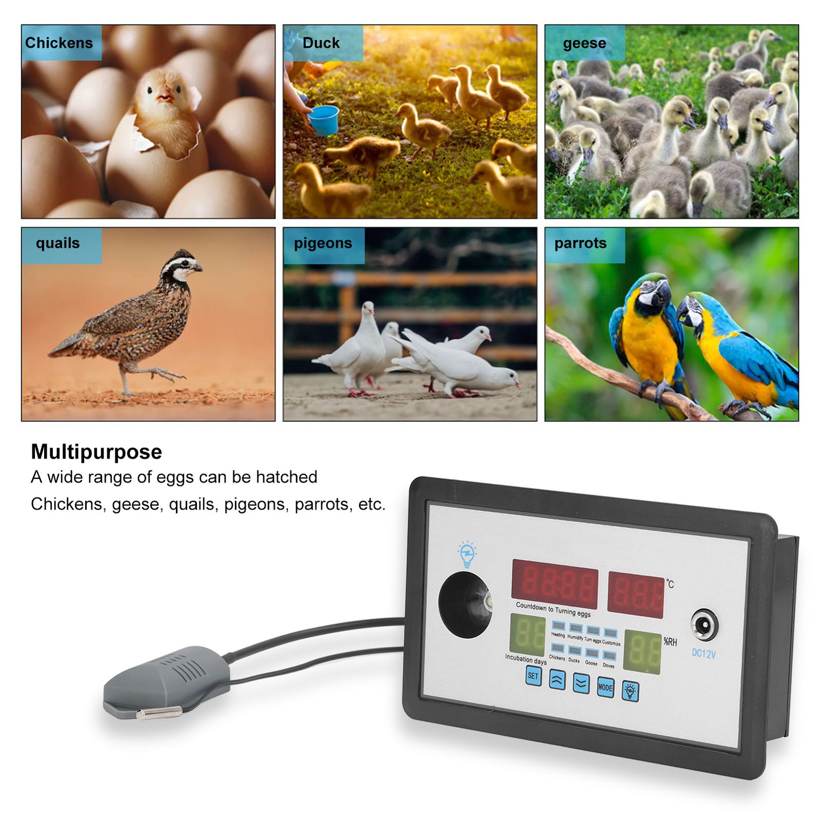 Intelligent Incubator Thermostat Automatic Egg Incubator Controller Thermostat