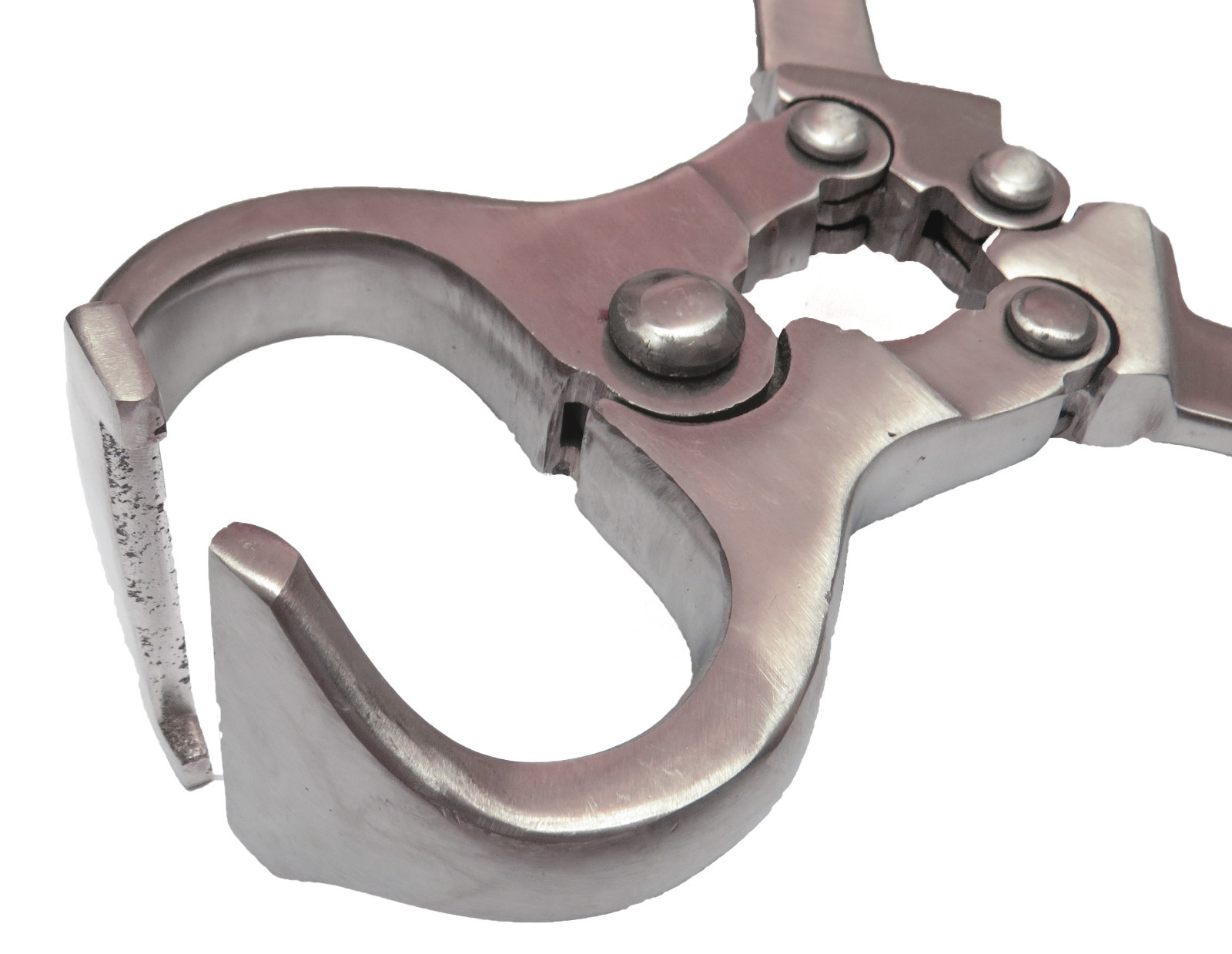 Castrator Burdizzo 18" Castration Veterinary Instruments UPDATED ARTICLE