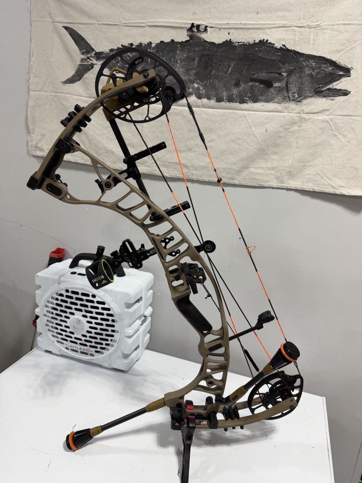 Hoyt Ventum Pro 30 RH
