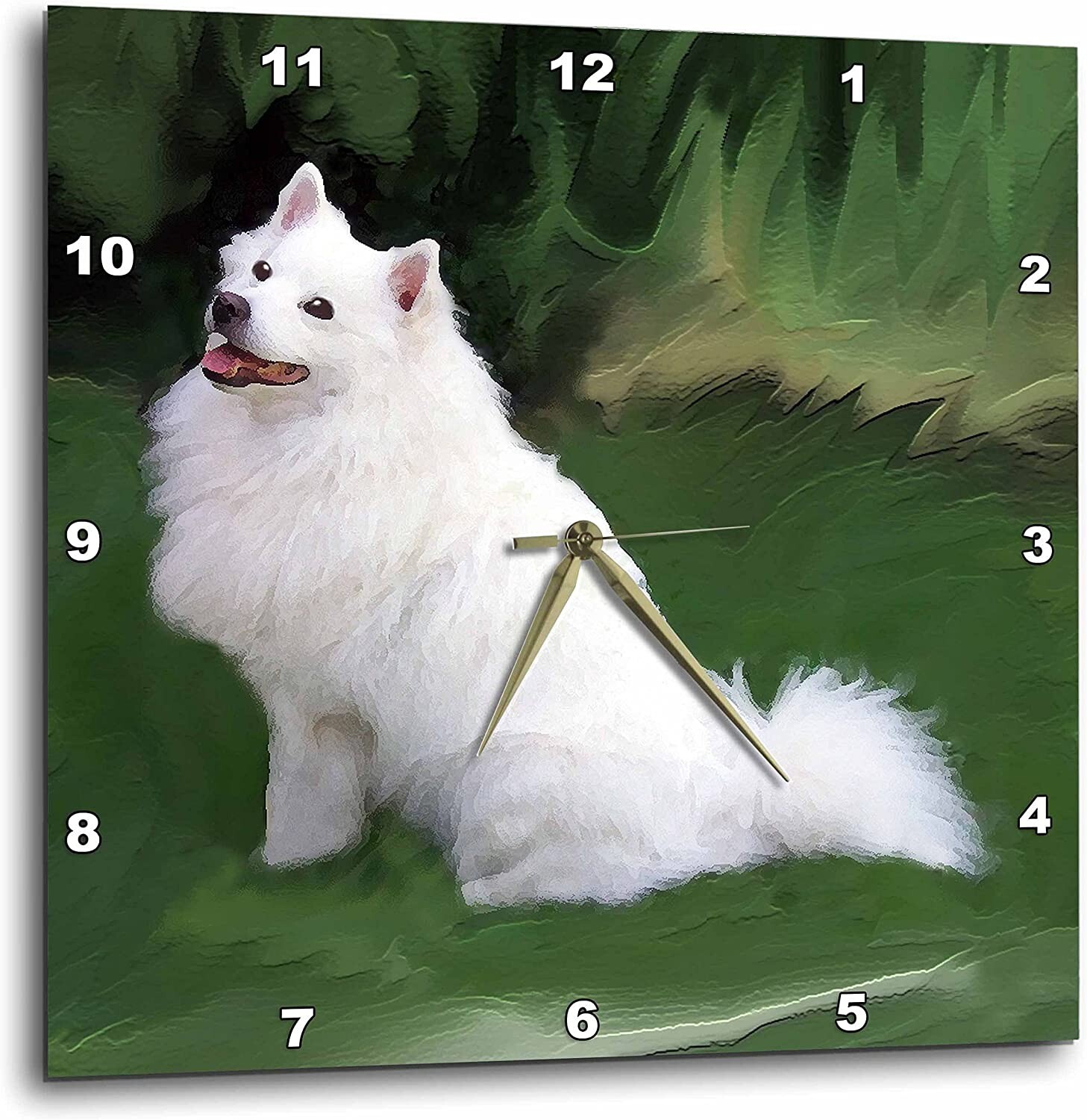 3dRose American Eskimo - Wall Clock, 13 by 13-Inch