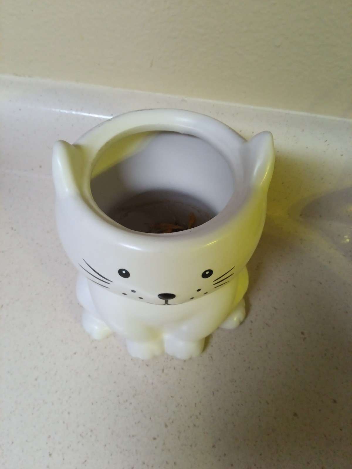 Ceramic Cat Planter Kitty Kitten