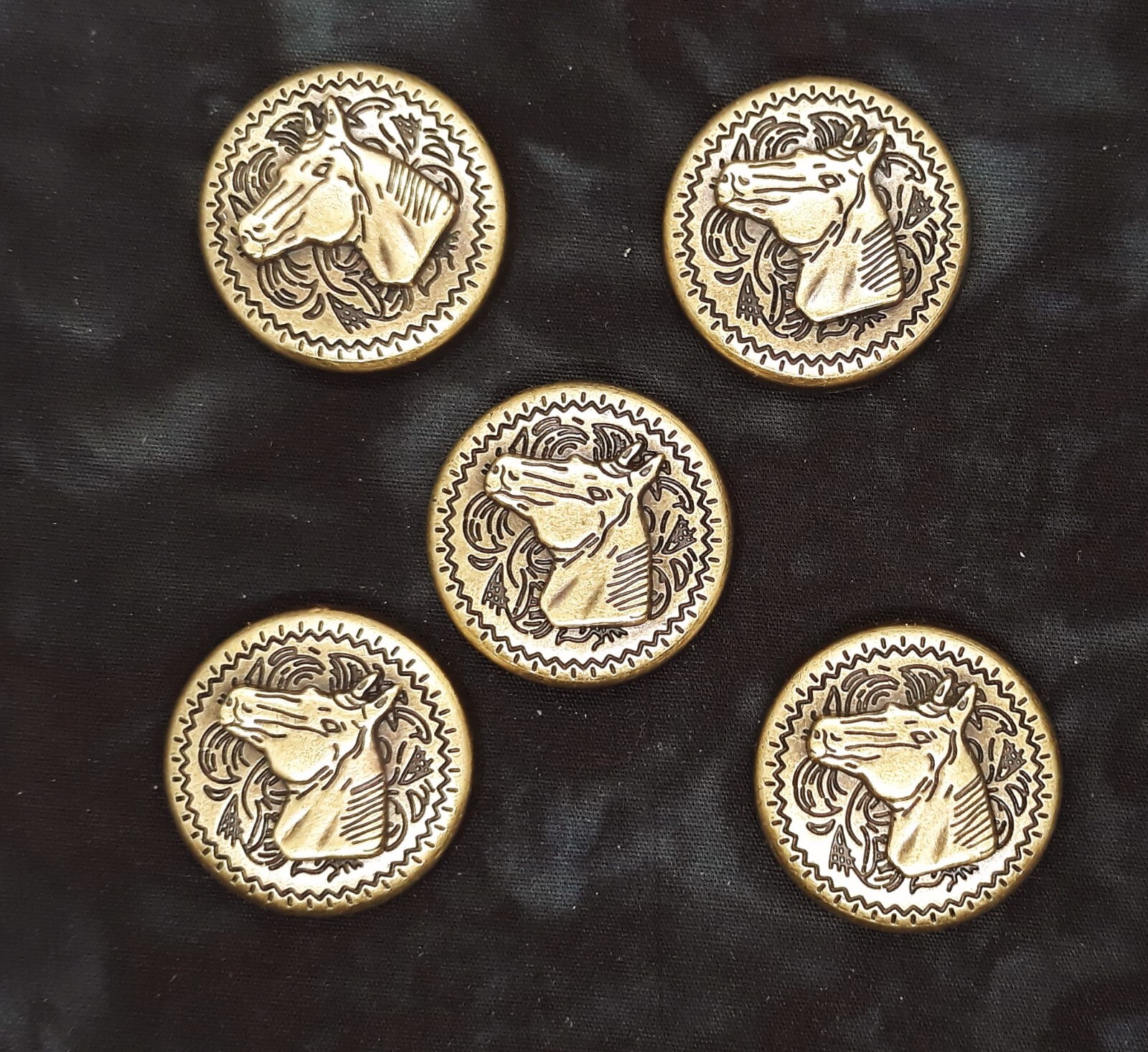 Horse Head Western Style Concho / Conchos 1" Five Count Bronze