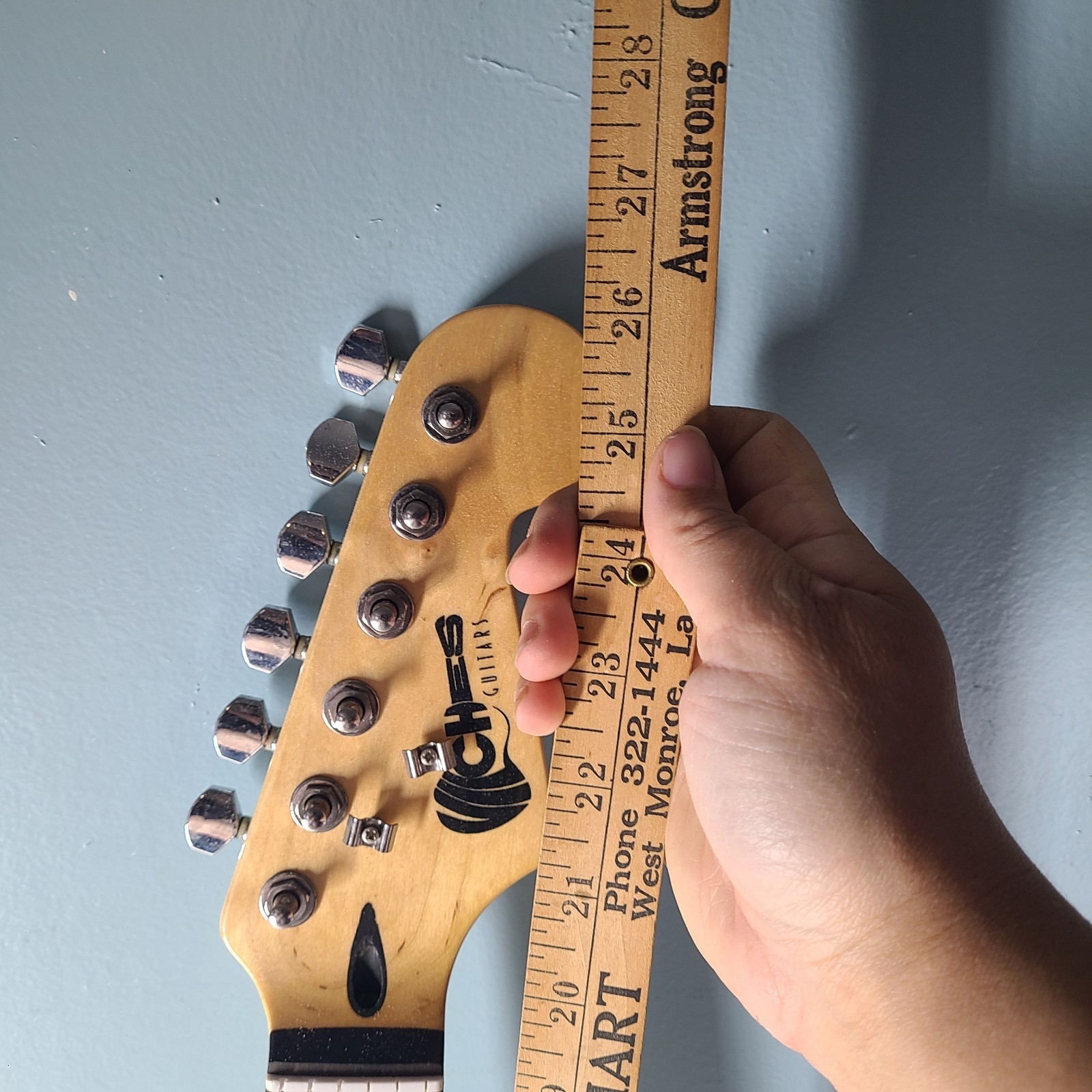Ches Guitars Neck Only