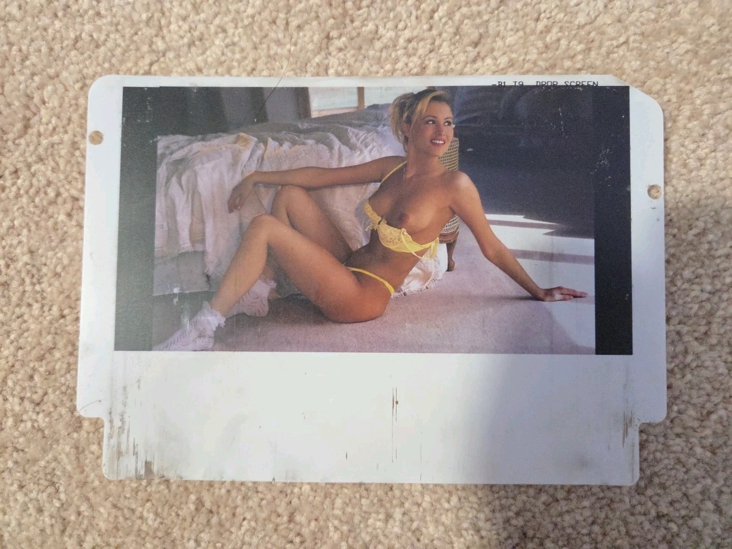 2 replacement photos for the Drop screen 2002 Stern Playboy pinball Machine