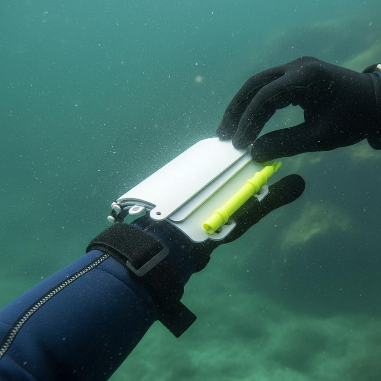 Luminous in the Dark Dive Slate Adjustable Strap Luminous Underwater Writing