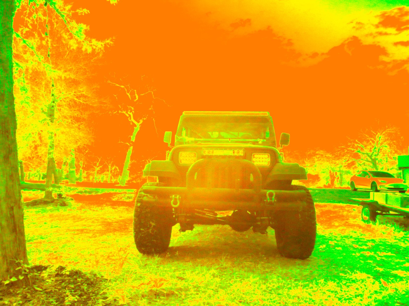 Infrared converted Camera Nikon D70 Full Spectrum