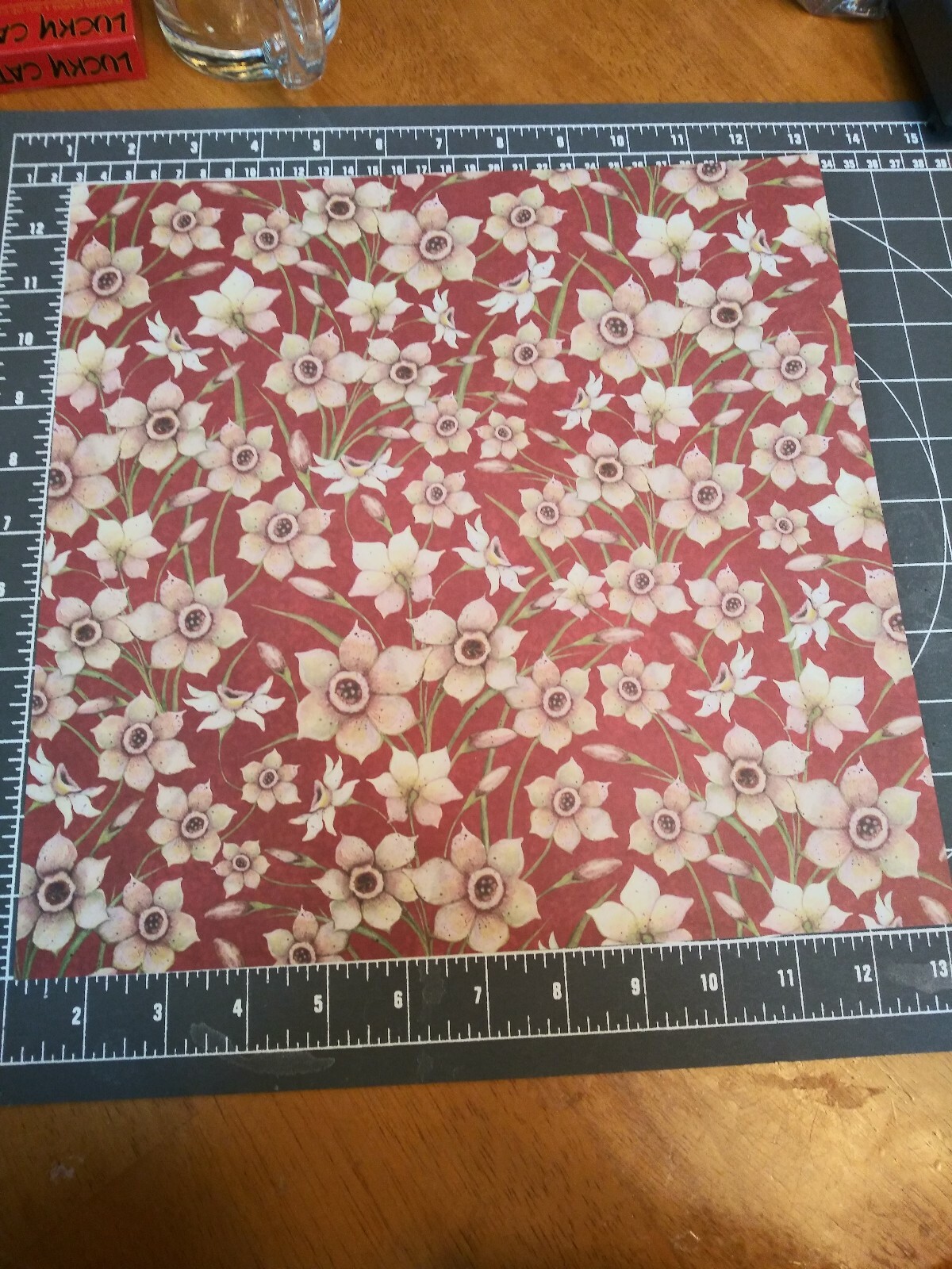 K&Co 12" Scrapbook Paper 5 pc Susan Winget Meadow Daffodil Nature Spring Easter