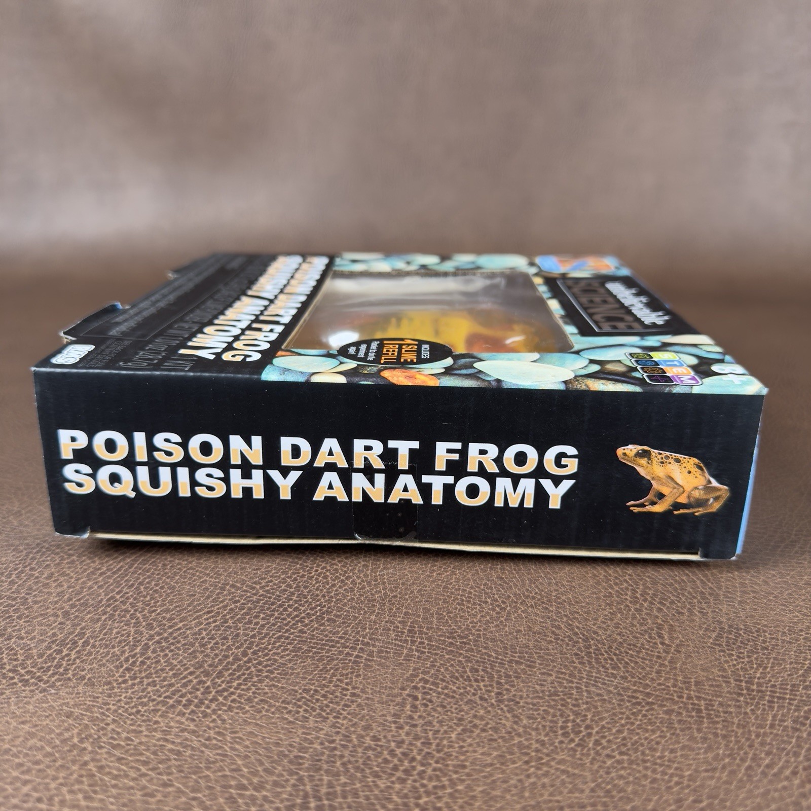 Unbelievable Science Poison Dart Frog Squishy Anatomy Dissecting Kit Educational