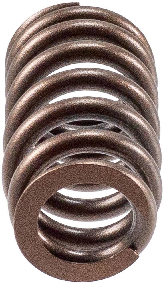 Engine Valve Spring-Stock Melling VS-2490