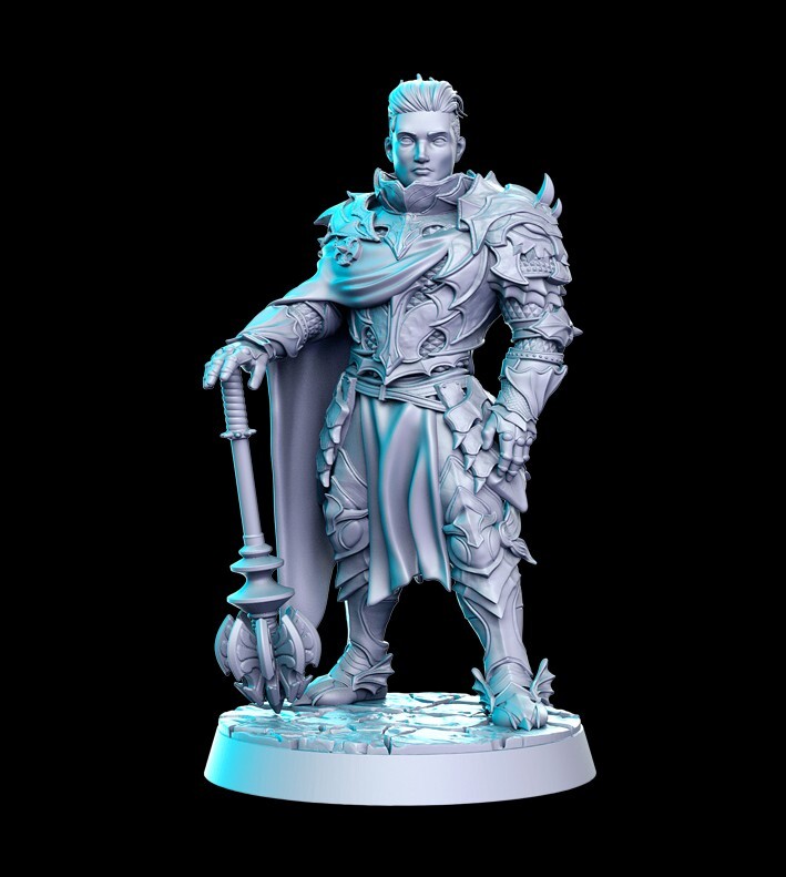 Dungeons and Dragons - Playable Character - Male Human Uthoran Paladin, Warrior