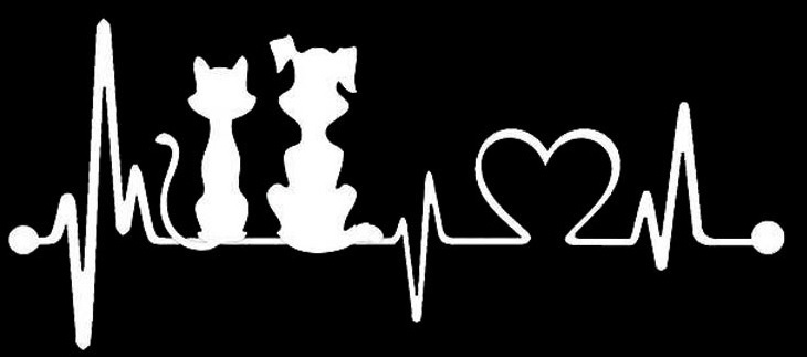 2 stickers cat dog heartbeat heartbeat car sticker decal 25 cm tuning JDM