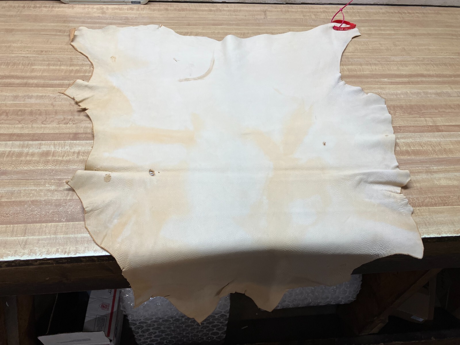 Tanned Deer Leather # 0018796 ROW F