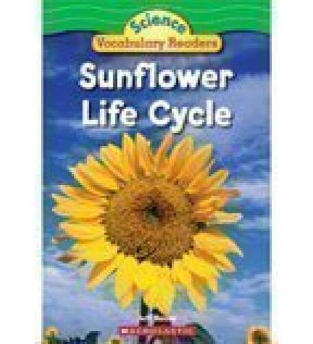 Sunflower Life Cycle - Paperback By Bauer, Jeff - GOOD