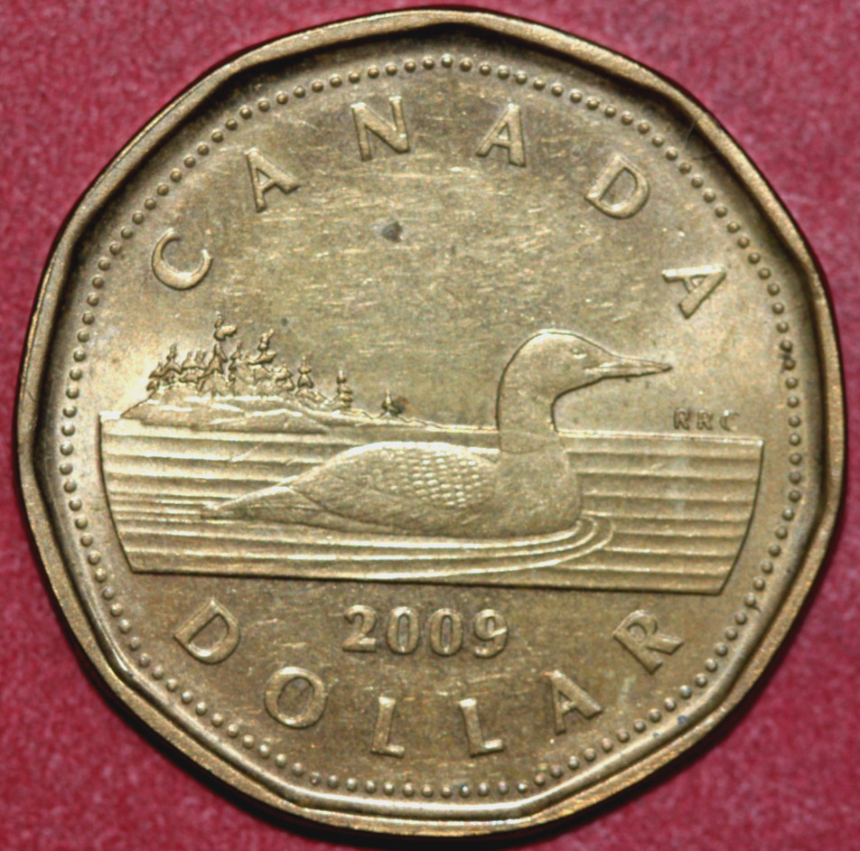 Canada  2009  Dollar  Elizabeth II ,  Loon 26.4mm