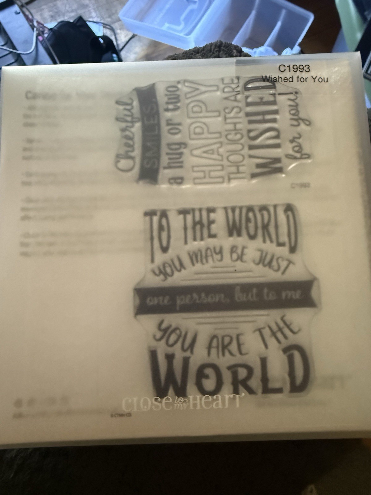 Brand New Close To My Heart CTMH Wished For You Stamp Set