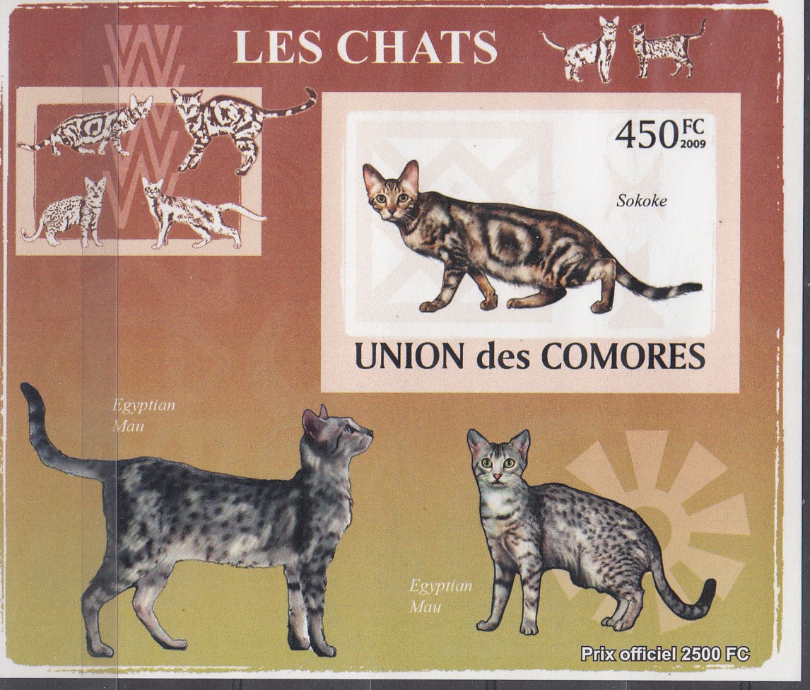 W COMORO Y2009 (50) (3v) CATGS