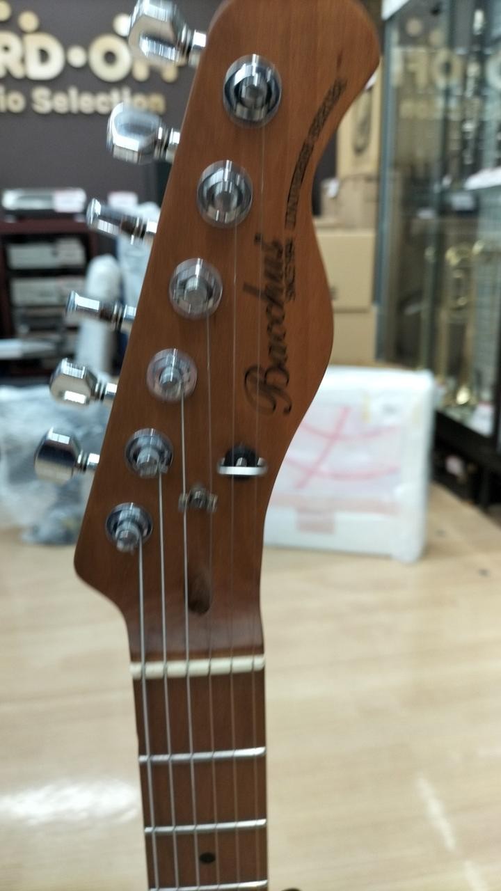 BACCHUS TACTICS-STD RSM Telecaster type