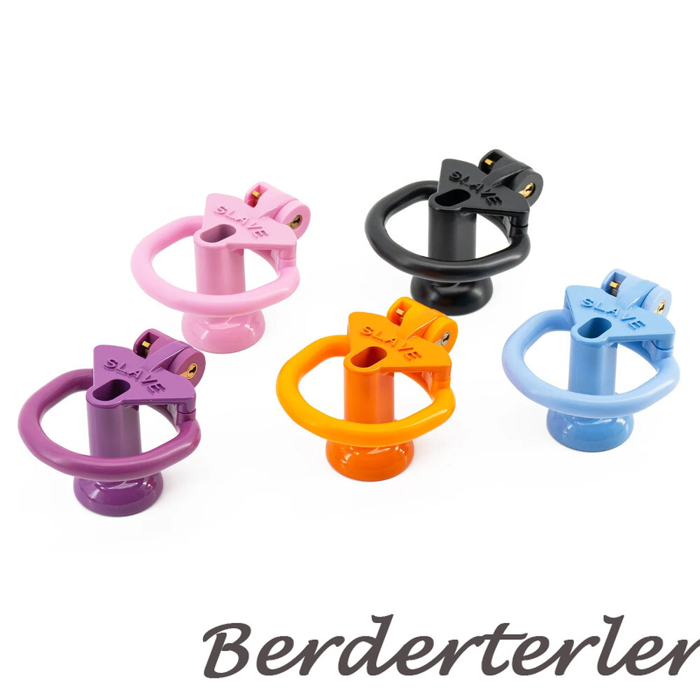 Sissy Positive/Negative Mini Chastity Cage Lock with Plug Slave 4 Sizes Rings