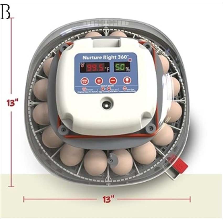 Nurture Right Egg Incubator for Hatching Chicks - Holds 22 Eggs BLLT