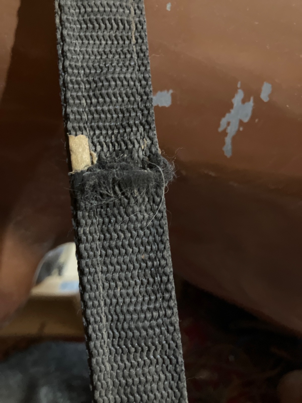 breast collar