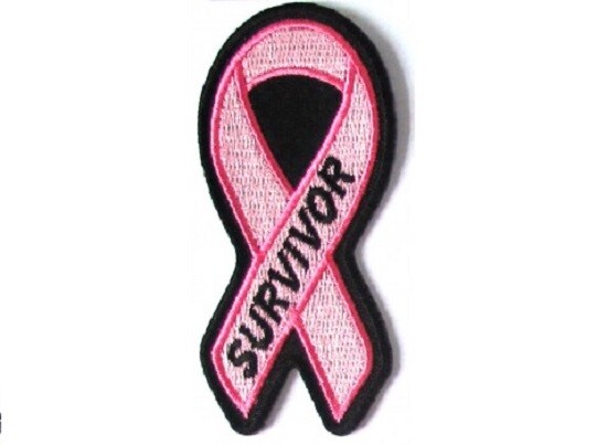 BREAST CANCER SURVIVOR PINK RIBBON EMBROIDERED PATCH **FREE SHIPPING**