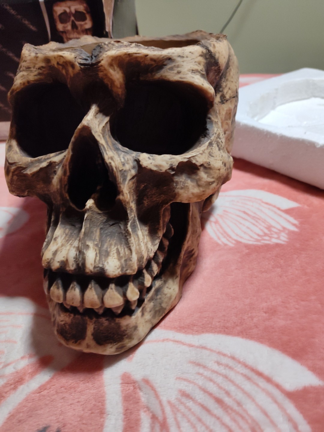 WORLD OF WONDER LARGE SKULL PLANTER
