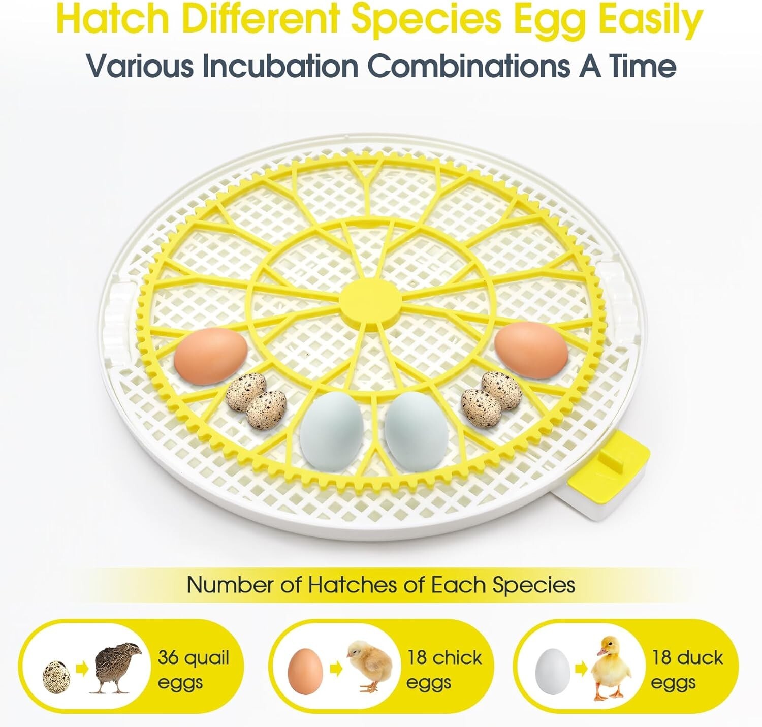 18 Egg Poultry Incubator for Hatching Egg Chick +Automatic Turning Egg Incubator