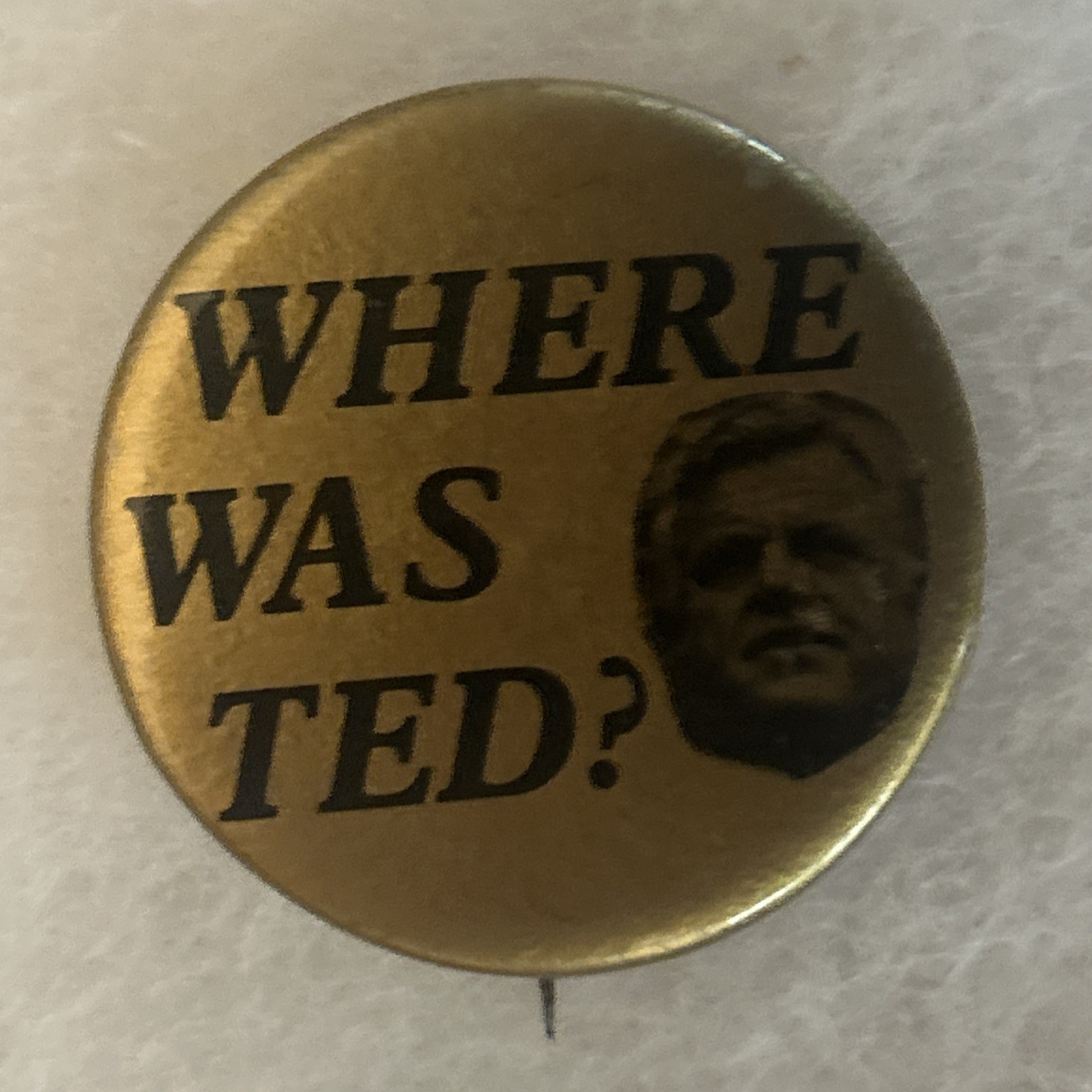 WHERE WAS TED?  1 3/4” pinback button pin