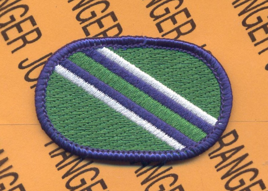 US Army 165th Quartermaster Company para oval patch #2