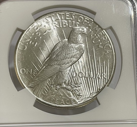 U.S. - 1925 Large Silver Peace Dollar (NGC MS 63) - Nice