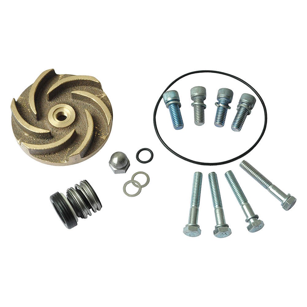 DAYTON 21TG50 Pump Repair Kit,For 2ZWR5A,2ZWR6A 21TG50