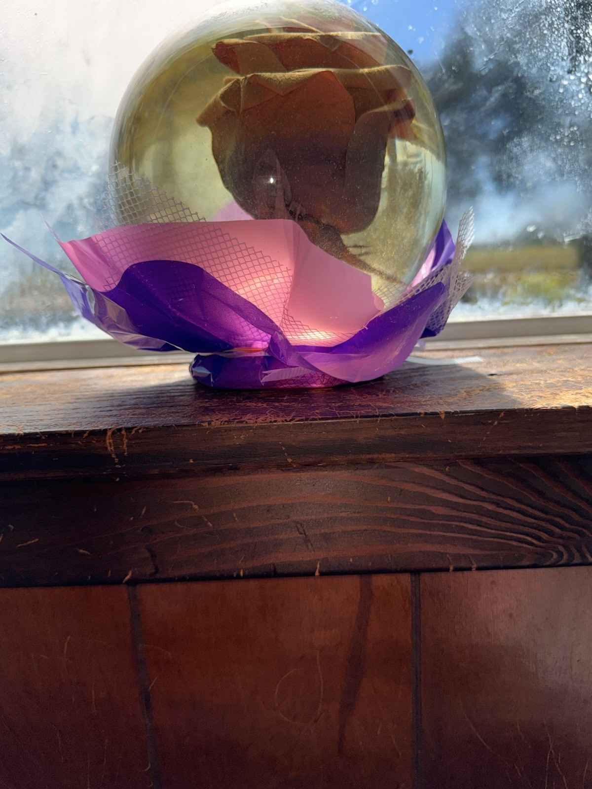 Rose In A Globe